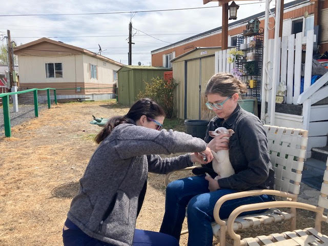 Our Pet Pals program has clinics with vets with senior discounts.