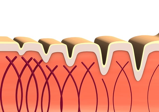 Loss-of-collagen-leads-to-thiner-skin