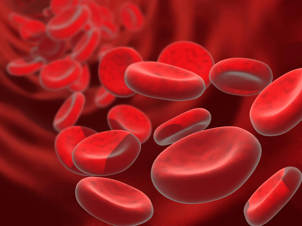 Top 10 Fab Facts about Glutathione...