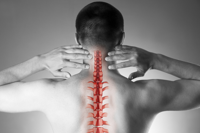 Bone Support: Why Magnesium & ...