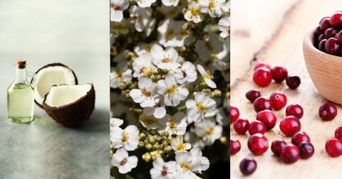 What is the best natural oil...