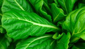 Diet May Delay Progression to Multiple Myeloma – Black...