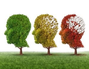 4 Common Types of Dementia in...