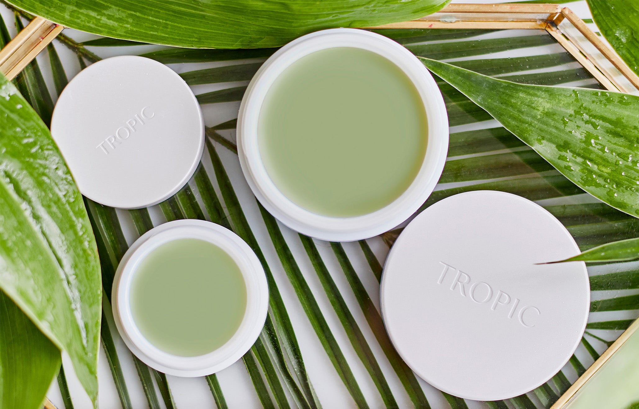 Why Tamanu Oil is Nature’s Green...