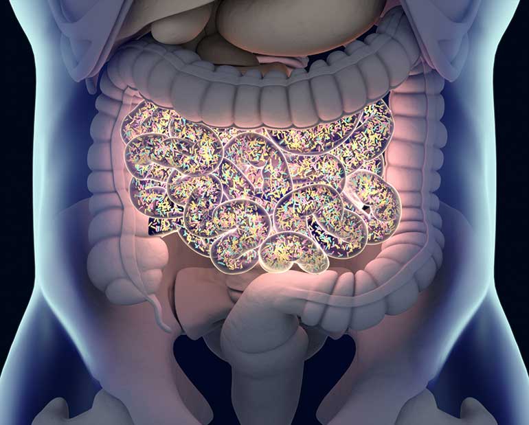 Transform your gut health with Vitamin...