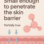 What Peptides Do for the Skin,...